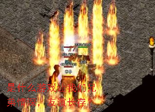 ��ʲô��Ϸ�������ֵ�������곤�棿