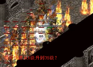 ��ο��ٴ�1������35����