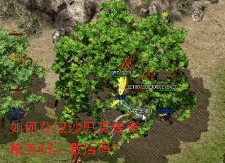 ��λ�ȡɳ�Ϳ˴��澫Ӣ��⼤���룿