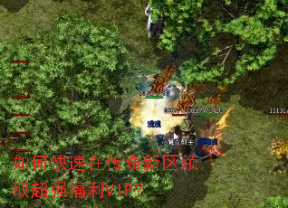 ��ο����ڴ���������ȡ��ǿ����VIP��