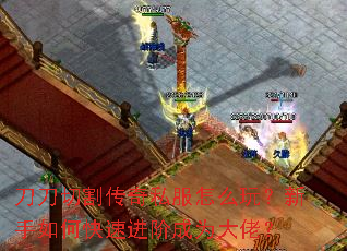 �����и��˽����ô�棿������ο��ٽ��׳�Ϊ���У�