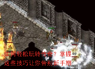 ���������ת���棿������Щ����������������