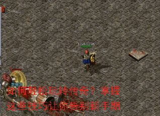 ���������ת���棿������Щ����������������