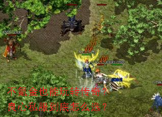 ��봽�Ҳ����ת���棿����˽��������ôѡ��