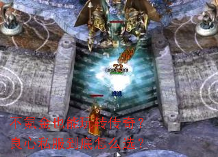 ��봽�Ҳ����ת���棿����˽��������ôѡ��