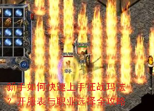 ������ο���������ս�귨����������ְҵѡ��ȫ����