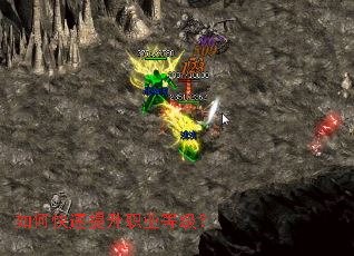 ��ο�������ְҵ�ȼ���