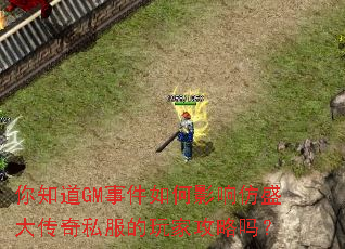 ��֪��GM�¼����Ӱ���ʢ����˽������ҹ�����