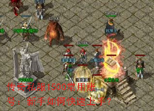 传奇私服1500常用账号:新手如何快速上手? 传奇私服1500常用账号:新手如何快速上手?