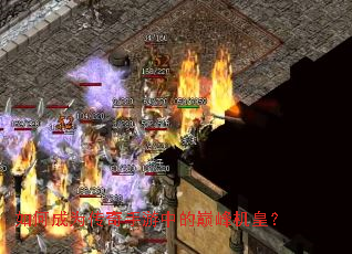 ��γ�Ϊ���������е��۷���ʣ�