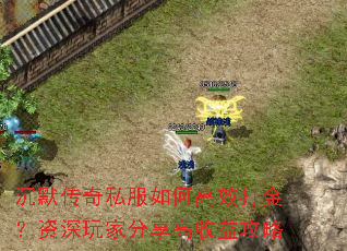 沉默传奇私服如何高效打金?资深玩家分享高收益攻略 沉默传奇私服如何高效打金?资深玩家分享高收益攻略