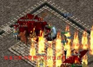 �ұ���Ĭ����������ο���������