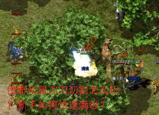传奇私服刀刀切割怎么玩?新手如何快速满级? 传奇私服刀刀切割怎么玩?新手如何快速满级?