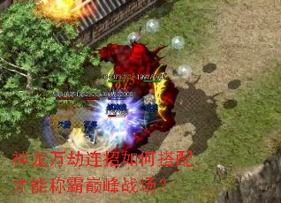 神龙万劫连招如何搭配才能称霸巅峰战场? 神龙万劫连招如何搭配才能称霸巅峰战场?