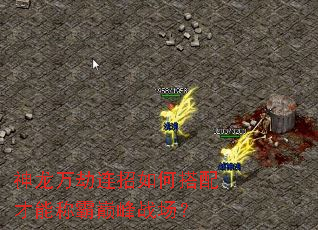 神龙万劫连招如何搭配才能称霸巅峰战场? 神龙万劫连招如何搭配才能称霸巅峰战场?