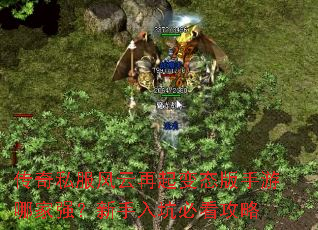 ����˽�����������̬�������ļ�ǿ��������ӱؿ�����