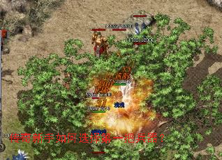 �����������ѡ���һ�ѱ�����