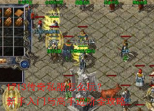 1713传奇私服怎么玩?新手入门与高手进阶全攻略 1713传奇私服怎么玩?新手入门与高手进阶全攻略