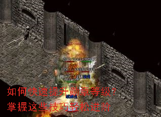 ��ο�������ѫ�µȼ���������Щ�������ɽ���