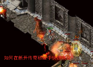 ������¿�����˽���п���������