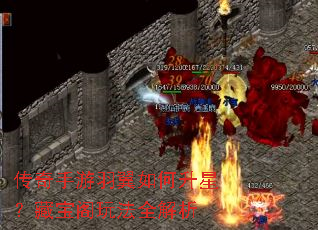 传奇手游羽翼如何升星?藏宝阁玩法全解析 传奇手游羽翼如何升星?藏宝阁玩法全解析