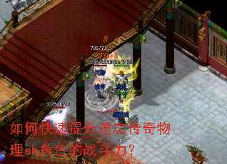 ��ο�������������������sh��ɫ��ս������