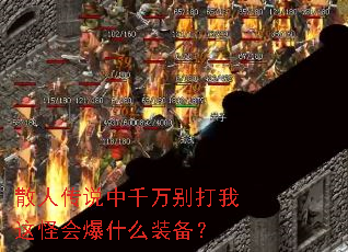 散人传说中千万别打我这怪会爆什么装备? 散人传说中千万别打我这怪会爆什么装备?