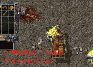 如何快速提升单职业传奇通天大陆的等级? 如何快速提升单职业传奇通天大陆的等级?