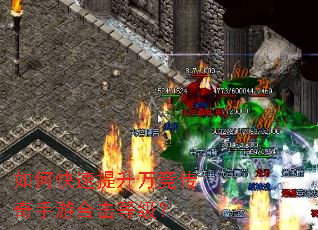 ��ο��������򾺴������κϻ��ȼ���