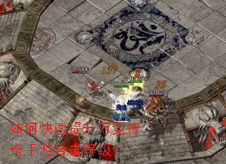 ��ο��������򾺴������κϻ��ȼ���