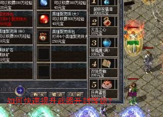 ��ο���������������ȼ���