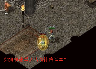 ��ο��ټ�������ӽű���