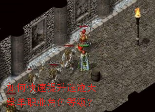 ��ο��������ż����õ�ְҵ��ɫ�ȼ���