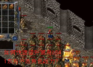 ��ο��������ڵ�6841�������ܽ�ɫս����