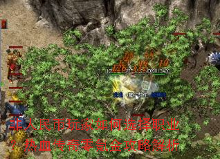 �������������ѡ��ְҵ����Ѫ������봽��Խ���