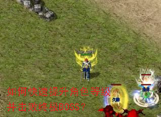 ��ο���������ɫ�ȼ��������ռ�BOSS��