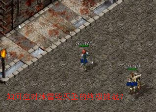 ���Ӧ�Ա�ѩ����׹���ռ���ս��