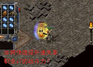 ��ο���������ʧ��ְҵsf��ս������