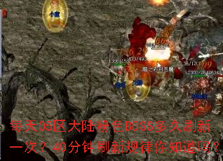 ÿ��05����½��ɫBOSS���ˢ��һ�Σ�40����ˢ�¹�����֪����