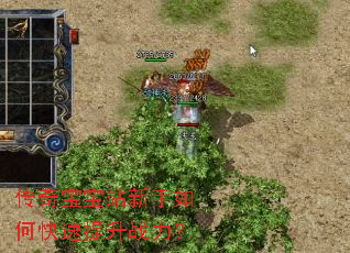 ���汦��վ������ο�������ս����