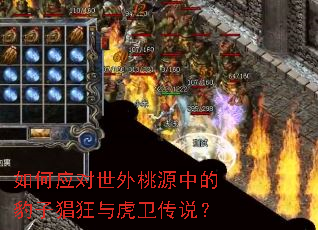 ���Ӧ��������Դ�еı��Ӳ����뻢����˵��