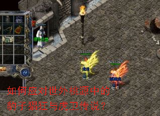 ���Ӧ��������Դ�еı��Ӳ����뻢����˵��