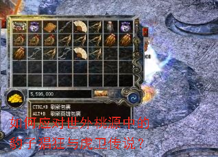 ���Ӧ��������Դ�еı��Ӳ����뻢����˵��