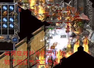 ���Ӧ��������Դ�еı��Ӳ����뻢����˵��