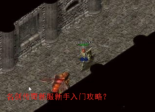 ���������·��������Ź��ԣ�