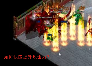 ��ο���������������