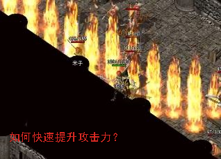 ��ο���������������