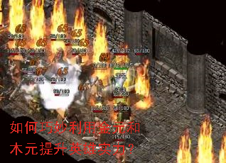 ����������ý�Ԫ��ľԪ����Ӣ��ʵ����