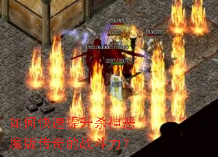 ��ο�������ɱ���ħ�洫���ս������