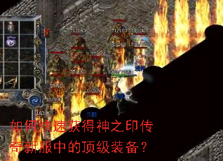 ��ο��ٻ����֮ӡ�����·��еĶ���װ����